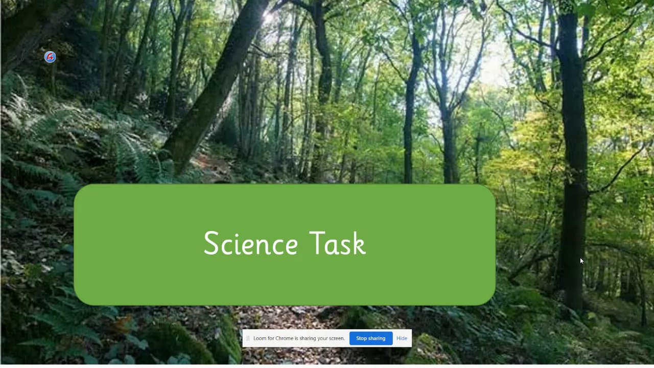 Preview of Science Task