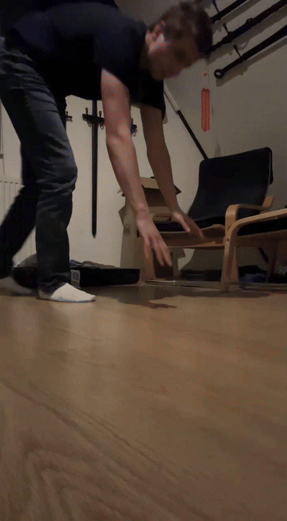 Planche pushup II