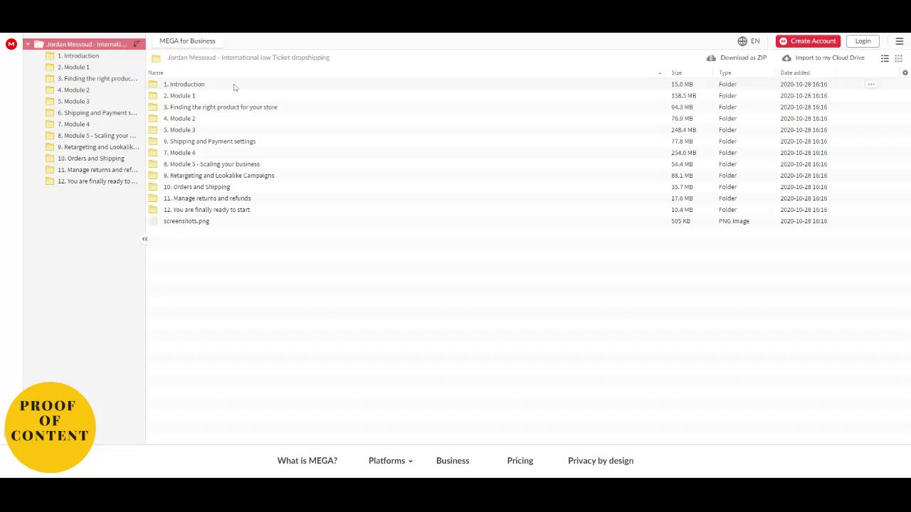 Preview of Jordan Messoud - International low Ticket dropshipping