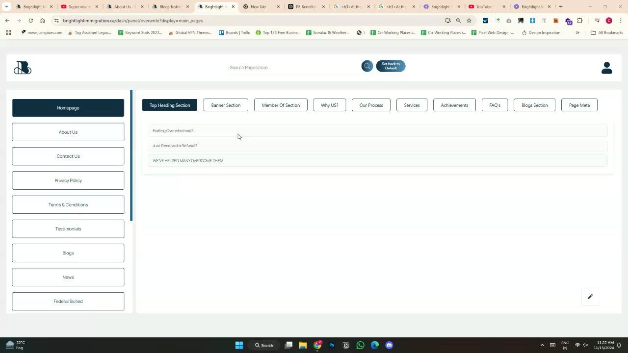 Preview of Brightlight Immigration - Your Way to Brighter Future - Google Chrome - 15 November 2024