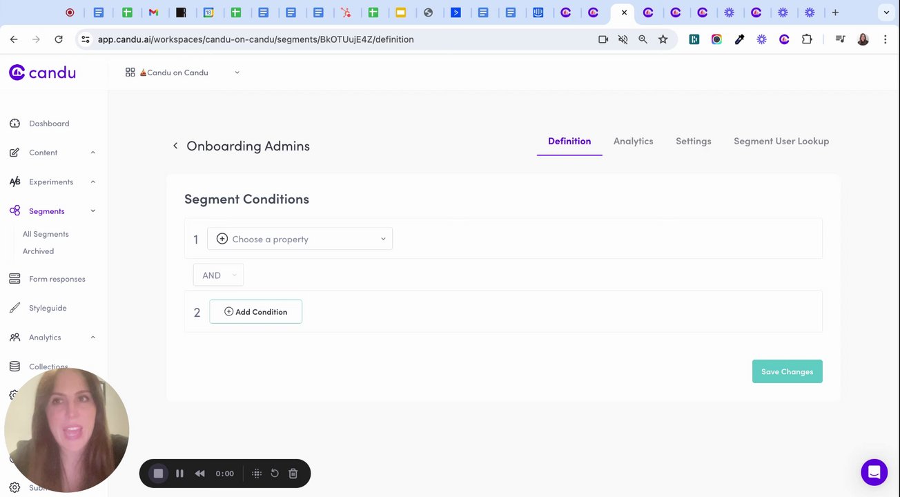 Preview of Candu Segmentation Overview
