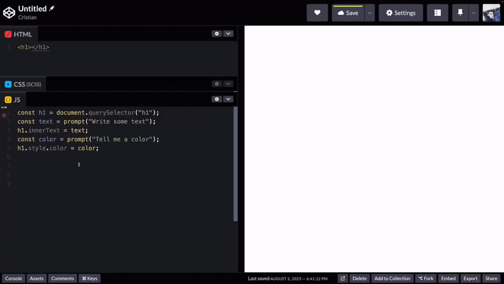 Comments - Javascript For Beginners · Developer Pro