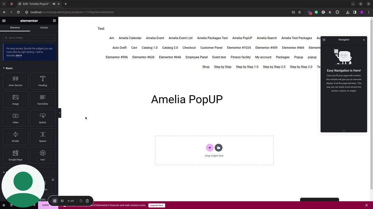 Preview of Edit "Amelia PopUP" with Elementor - 30 January 2024