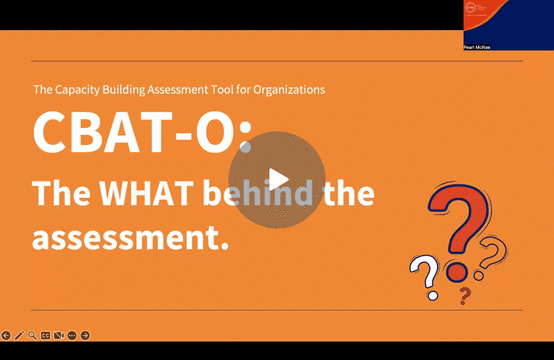 The What - Video Thumbnail