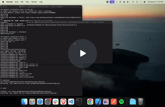 Working Demo