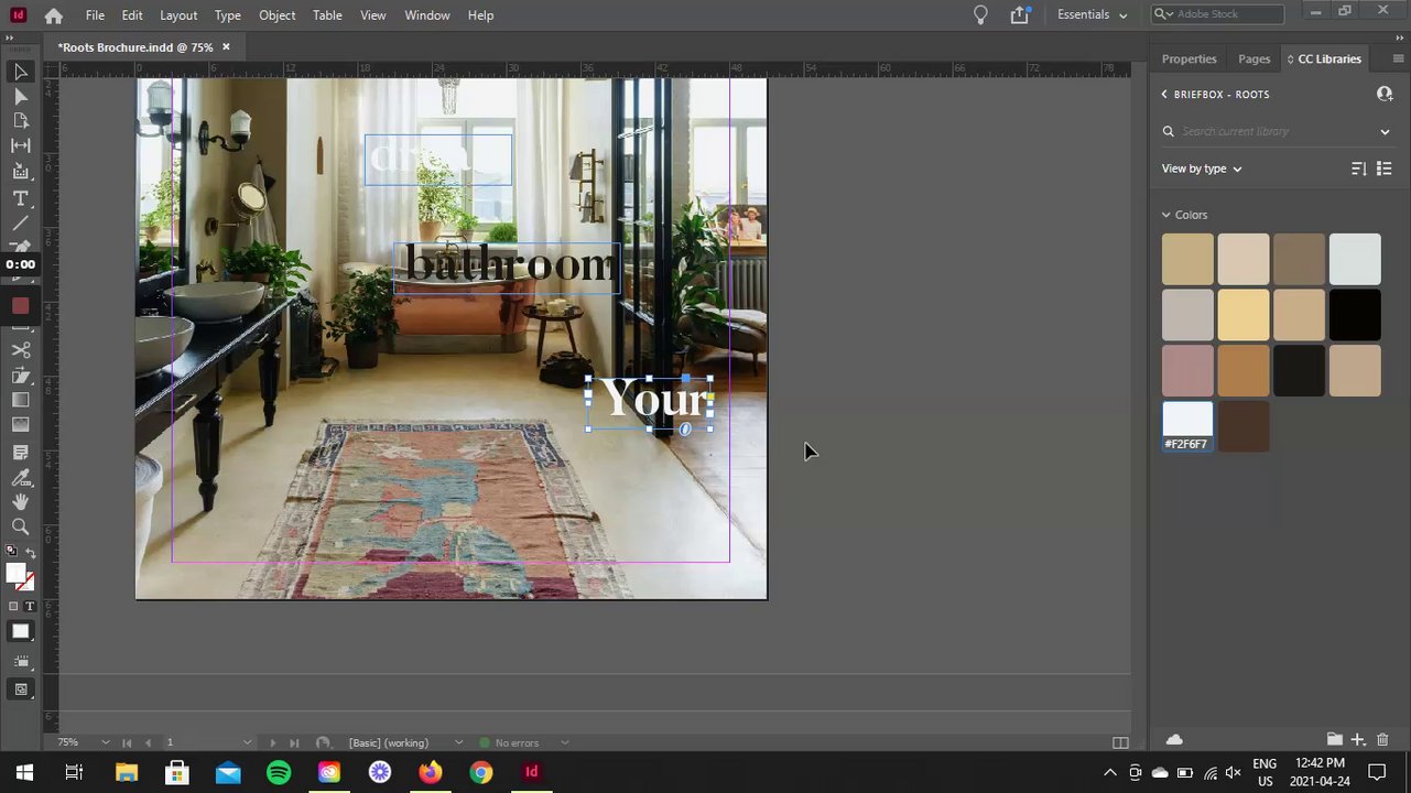 Preview of Roots Interior Designs - BTS of Brochure