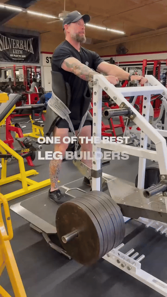 THE BELT SQUAT: One of the Most Underrated Leg Builders