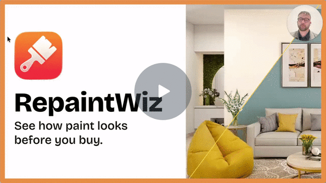 RepaintWiz - Watch Video