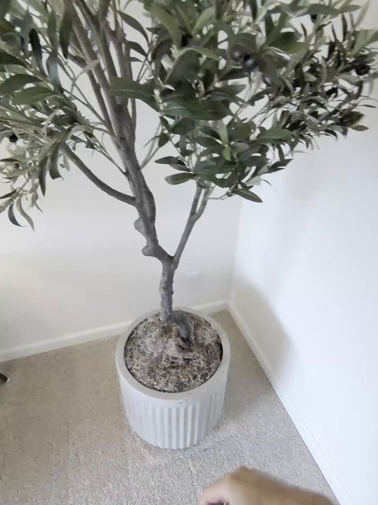 Living spaces, lamps & staging pushes — POV training clip