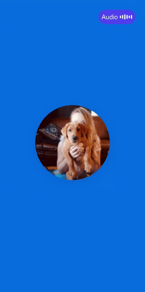 💛 A little PAWS community update