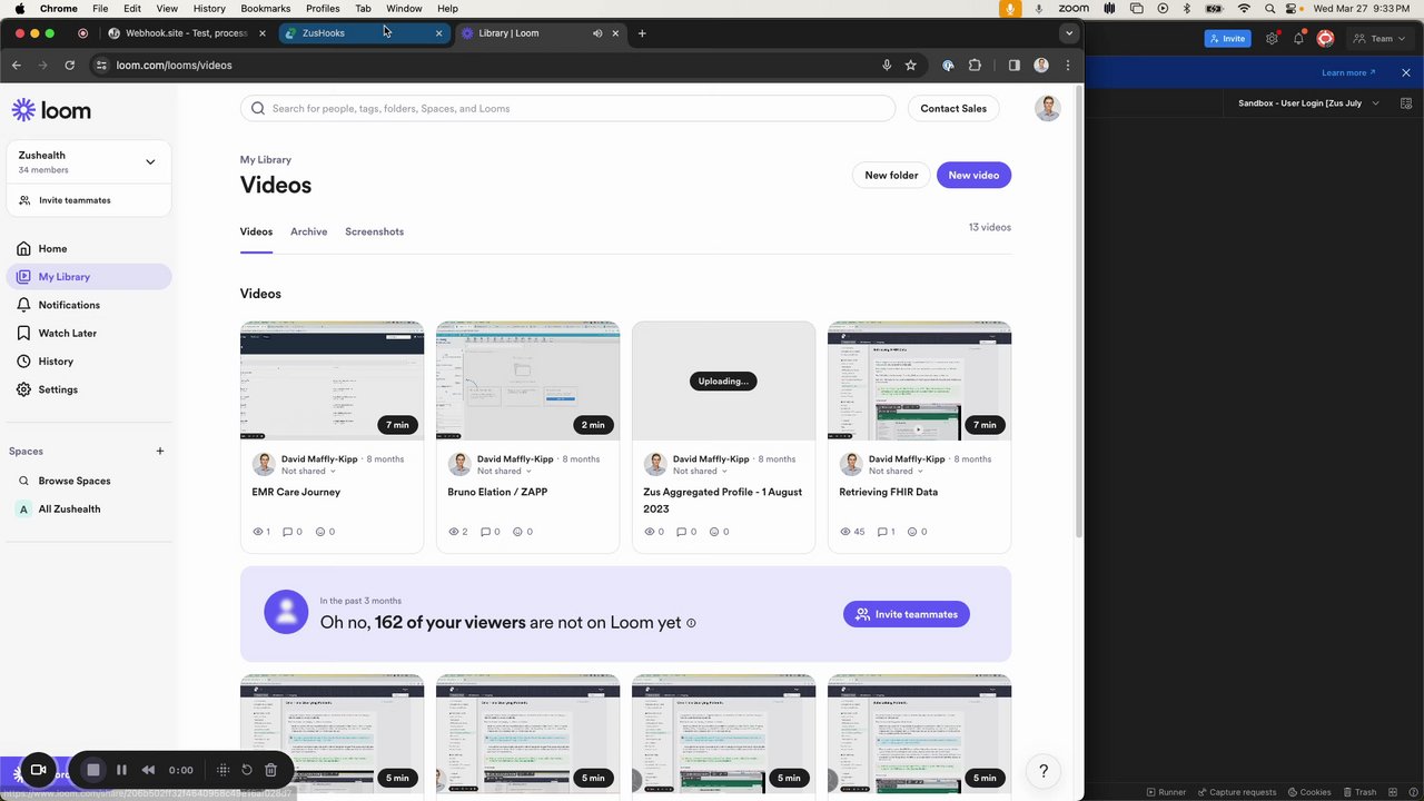 Preview of Zushook Testing
