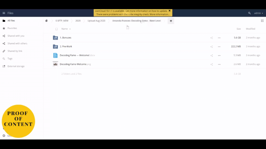 Amanda Frances - Decoding Fame - Next Level