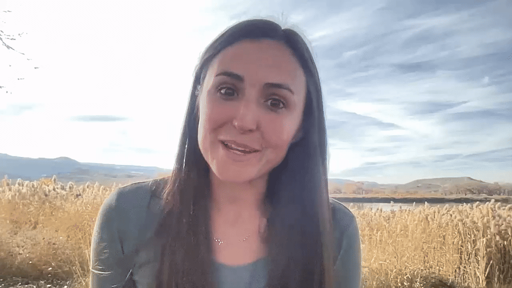 What is New Earth Mystery School?