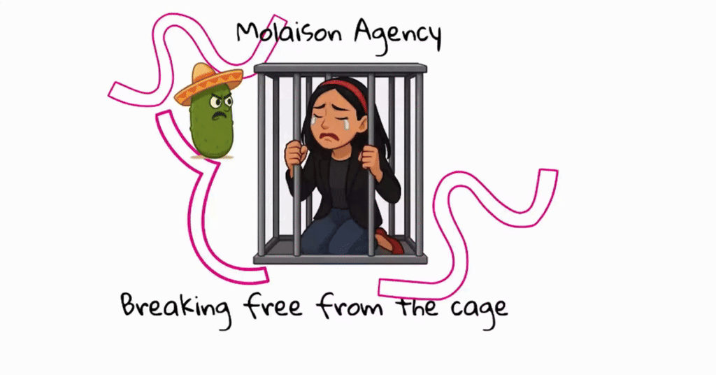 Universe Conspired! 🦄