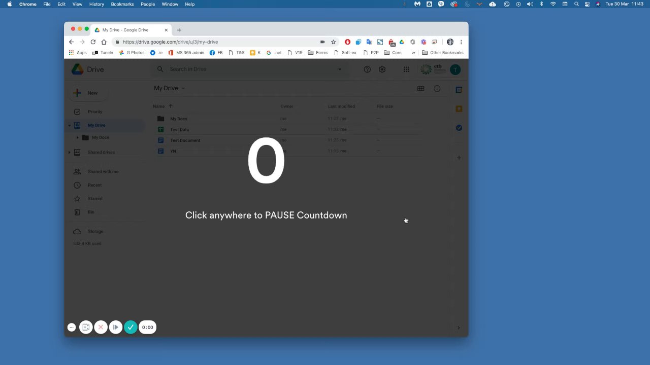 Preview of My Drive - Google Drive Download