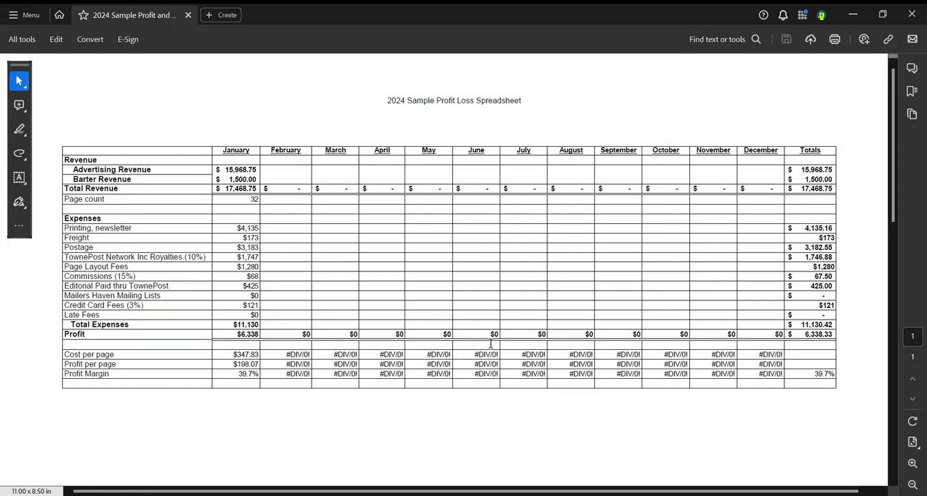 Preview of Profit and Loss Spreadsheet Overview