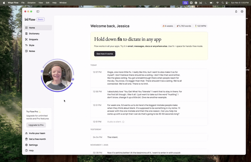 Here's a COOL video on What and How 'Wispr Flow' works!