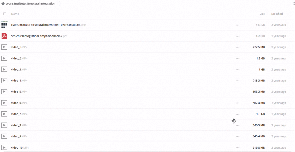 Lyons Institute – Structural Integration